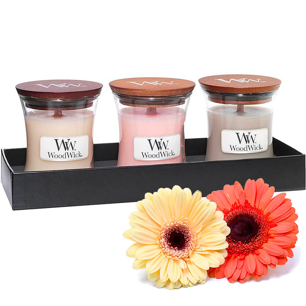 Candele regalo WoodWick